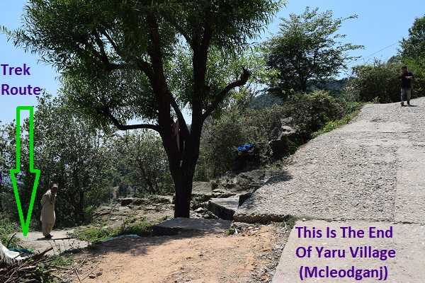 Mcleodganj to Dharamshala Trek Route From Yaru Village Mcleodganj to Dharamshala Trek Route From Yaru Village