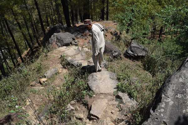 Mcleodganj to Dharamshala Trek in the Himalaya Mcleodganj to Dharamshala Trek in the Himalaya