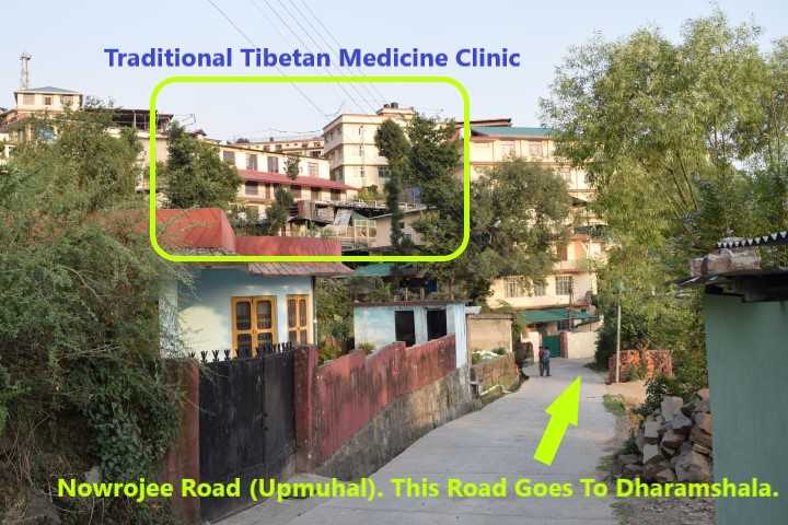 Nowrojee Road Village in Upmuhal, Dharamshala