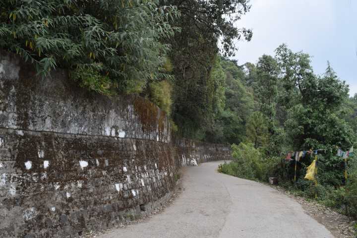 Path near Dalai Lama's House in Mcleodganj
