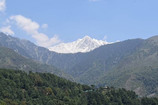 Mcleodganj to Dharamshala Trek Via Heeru and Gamru